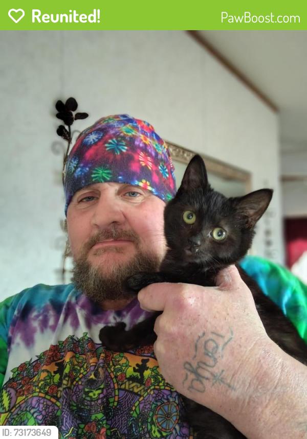 Reunited Male Cat last seen Keystone &Ritz Ave, Reading, PA 19606