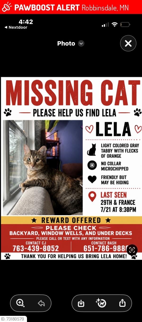 Lost Female Cat last seen 29th and france, Robbinsdale, MN 55422