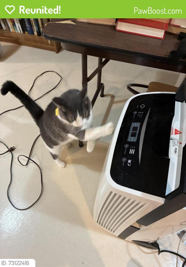 Reunited Male Cat last seen Edgemoor and Douglas, Wichita, KS 67218