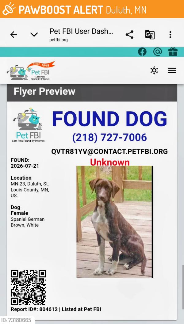 Found/Stray Female Dog last seen Main Street and highway 23, Duluth, MN 55808