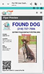 Found/Stray Female Dog last seen Main Street and highway 23, Duluth, MN 55808