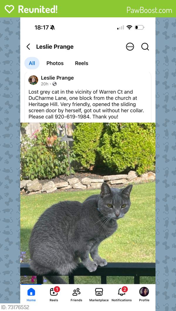 Reunited Female Cat last seen Warren court and DuCharme Lane, Allouez, WI 54301