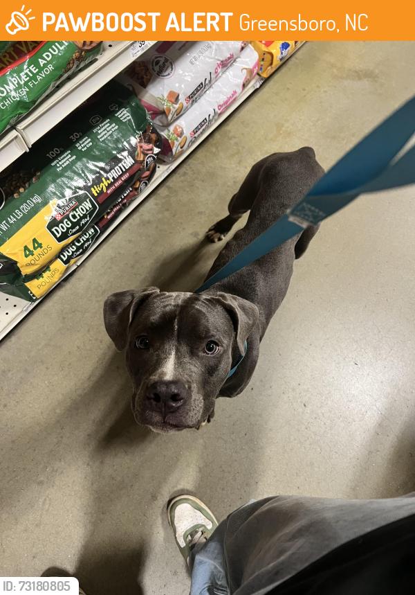 Found/Stray Male Dog last seen Near Railroad next to market station apt, Greensboro, NC 27409
