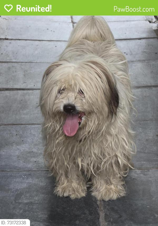 Reunited Unknown Dog last seen Martense Ave, Queens, NY 11368