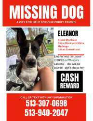 Lost Female Dog last seen Wilson's Landing, Batavia, OH 45103