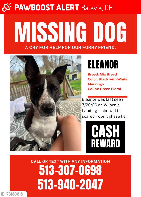 Lost Female Dog last seen Wilson's Landing, Batavia, OH 45103