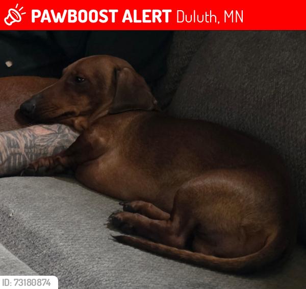 Lost Male Dog last seen S 62ND AVE W AND RALEIGH ST, Duluth, MN 55807
