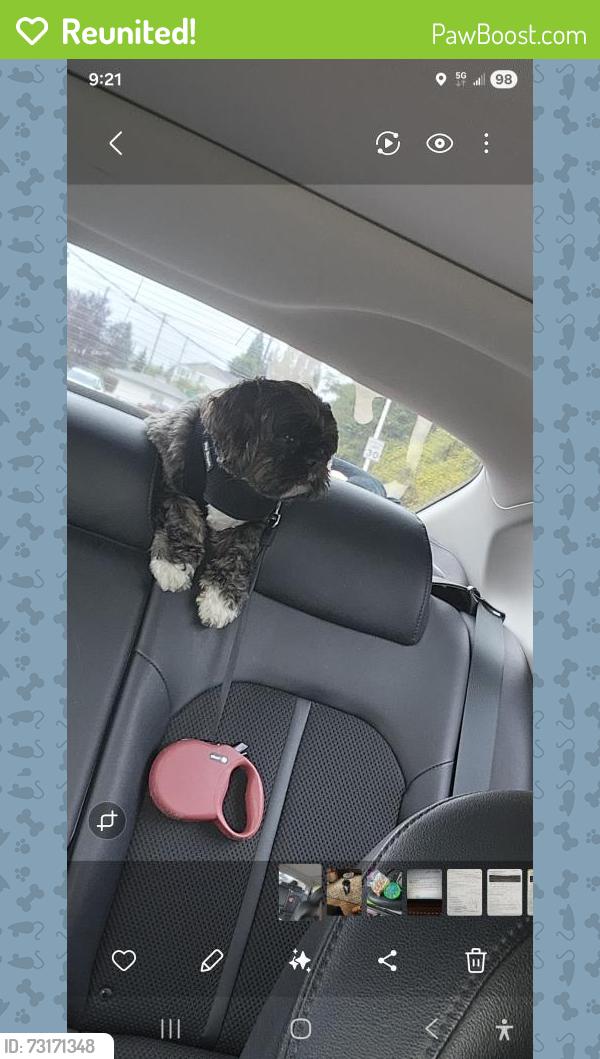 Reunited Male Dog last seen Aurora avenue N, Shoreline, WA 98133