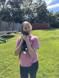 Lost Male Cat last seen Elyria, Elyria, OH 44035