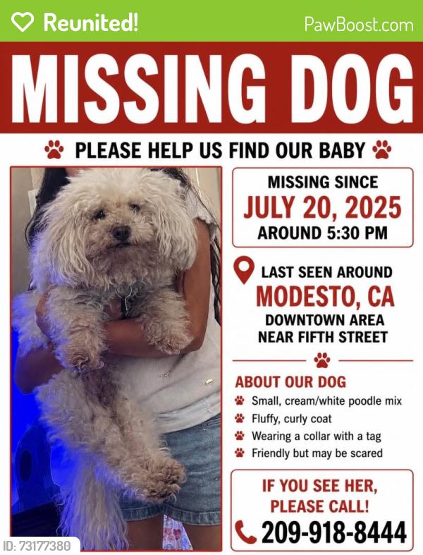 Reunited Male Dog last seen G St, Modesto, CA 95358, USA, Modesto, CA 95358
