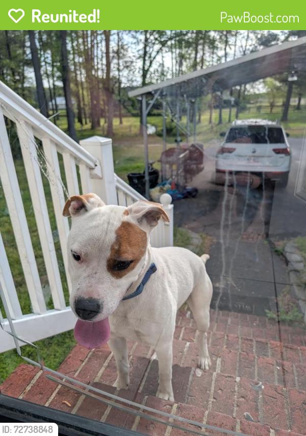 Reunited Male Dog last seen Near intersection of Spring Hill Church Rd and Mcdougald Rd, Lillington, NC 27546