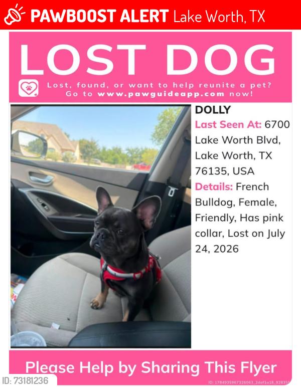 Lost Female Dog last seen Near lake worth boulevard, Lake Worth, TX 76135
