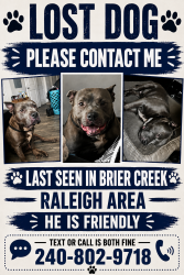 Reunited Male Dog last seen Crest at Brier Creek apmts, Raleigh, NC 27617