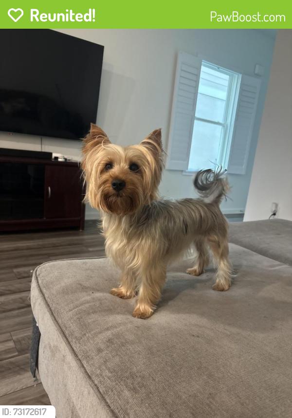 Reunited Female Dog last seen high noon and ladybug cove, Parrish, FL 34219
