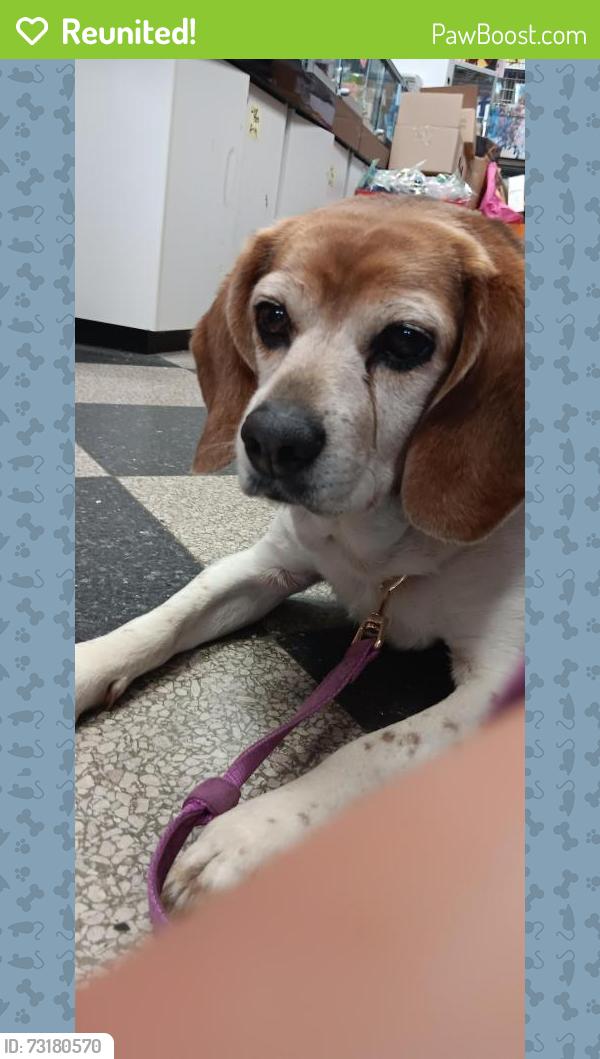 Reunited Female Dog last seen Tuscarawas in Barberton at Magic City Comics, Barberton, OH 44203