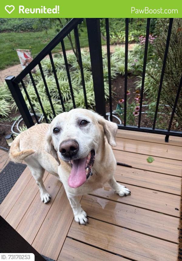 Reunited Male Dog last seen Carriage Hills, Roanoke, VA 24018