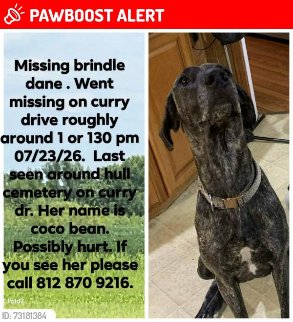 Lost Female Dog last seen West curry drive and state road 63, Honey Creek Township, IN 47802