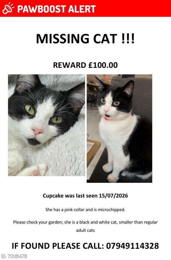 Lost Female Cat last seen Goodmayes station, Greater London, England IG3 9XD