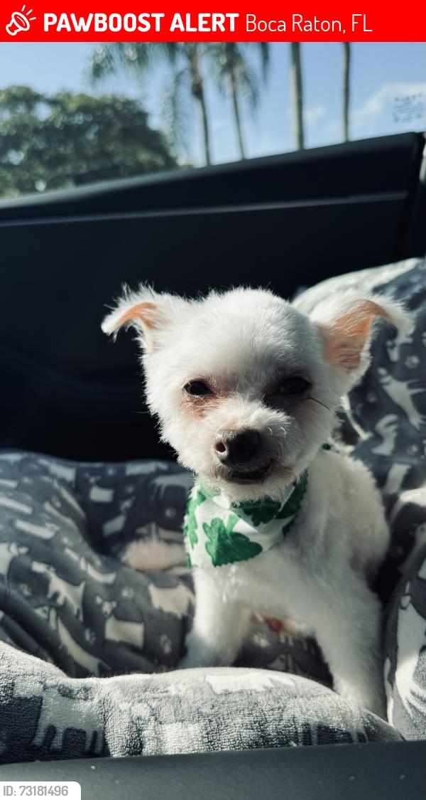 Lost Male Dog last seen Larkspur Trail, Boca Raton, FL 33433