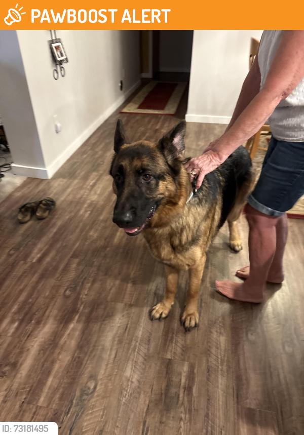 Found/Stray Male Dog last seen Oregon trail academy school, Clackamas County, OR 97009