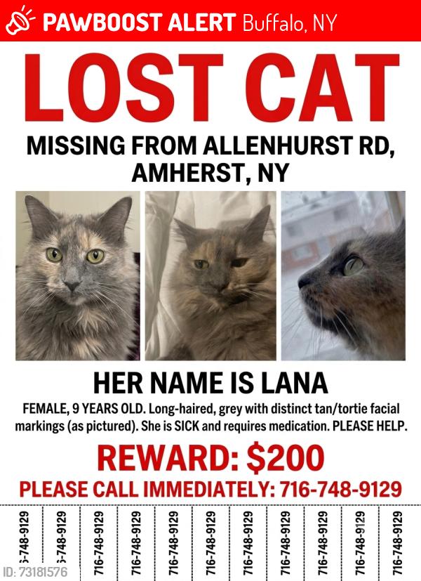 Lost Female Cat last seen Allenhurst rd, Amherst, NY 14226