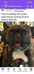 Found/Stray Unknown Dog last seen 34th & Nob Hill, Yakima, WA 98902