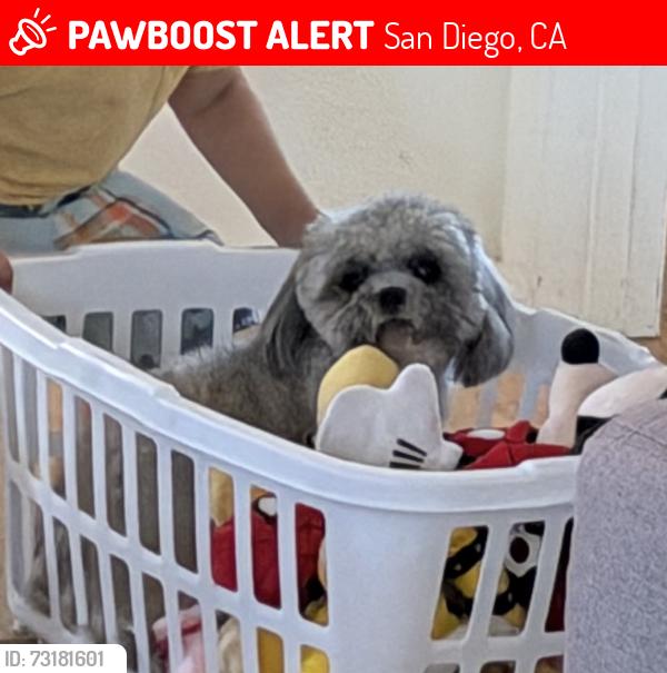Lost Female Dog last seen Goode St, San Diego, CA 92139