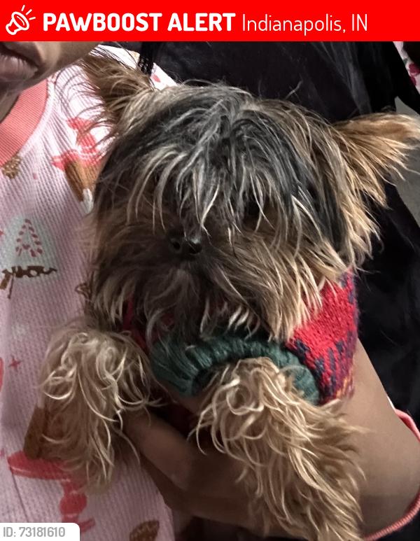 Lost Male Dog last seen 46th Eagle creek pkwy, Indianapolis, IN 46254