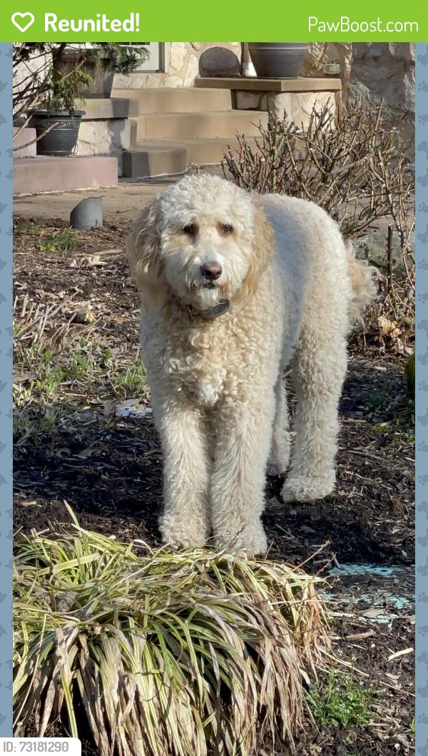 Reunited Female Dog last seen Near Bethany Cir NW., North Canton, OH 44720