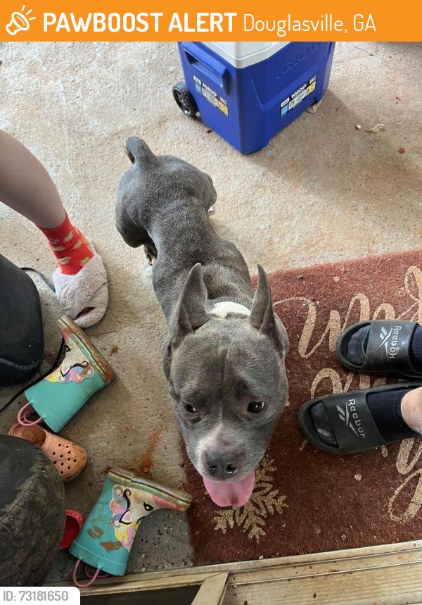 Found/Stray Female Dog last seen Arbor station community, Douglasville, GA 30135