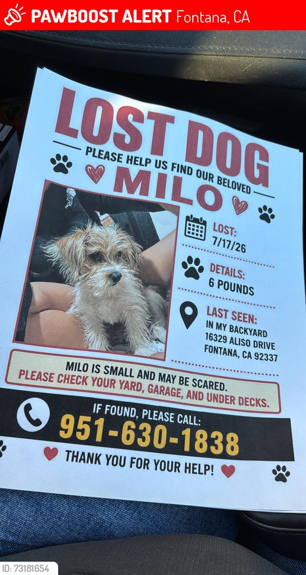 Lost Male Dog last seen Slover and Santa ana, Fontana, CA 92337