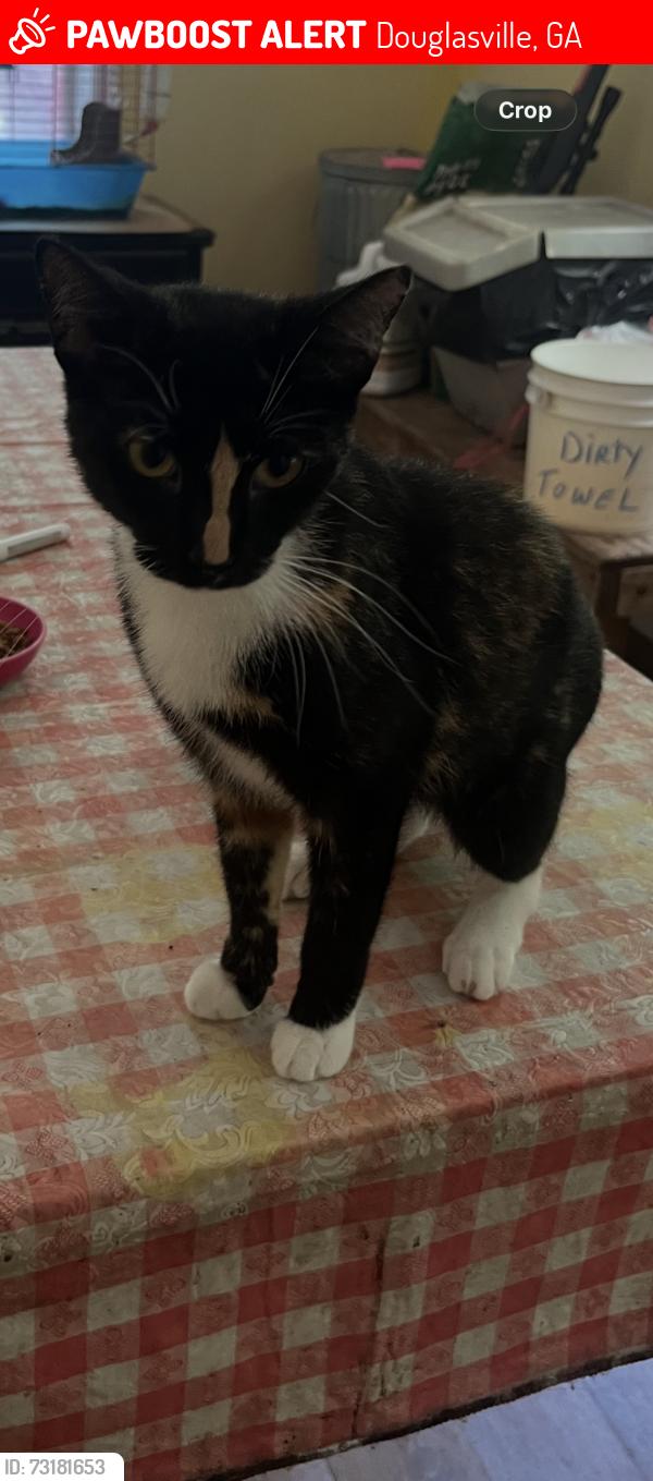 Lost Female Cat last seen Sweetwater church Road, Douglasville, GA 30134