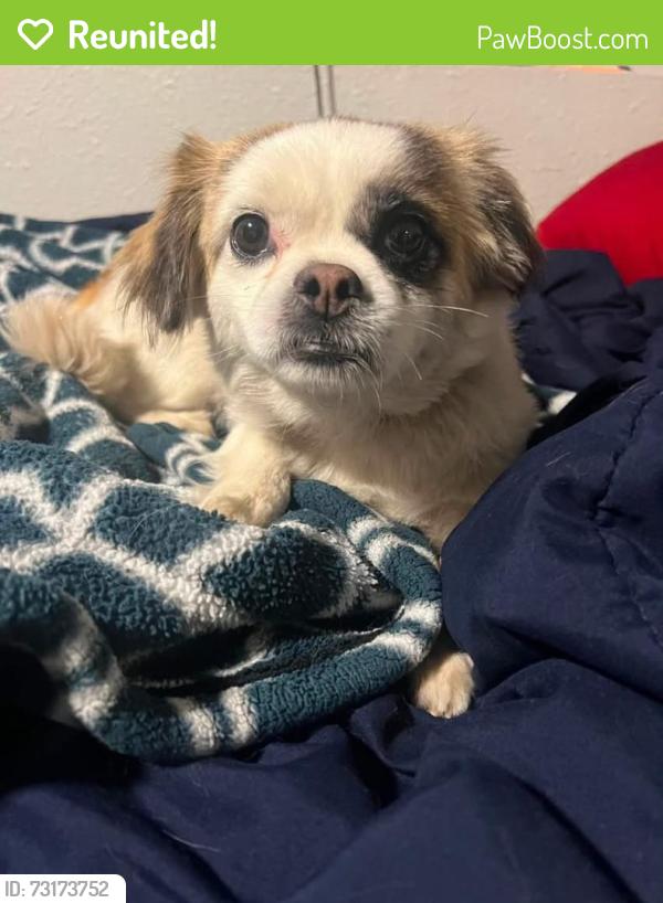 Reunited Female Dog last seen Hogan and Palmquist, Gresham, OR 97080