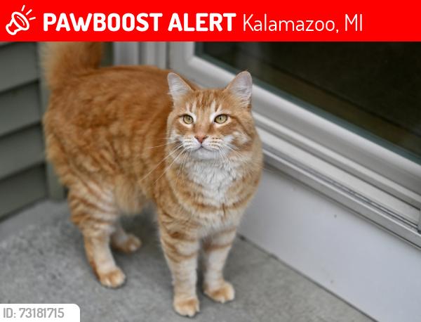 Lost Male Cat last seen Crooked Lake Cove, Kalamazoo, MI 49009