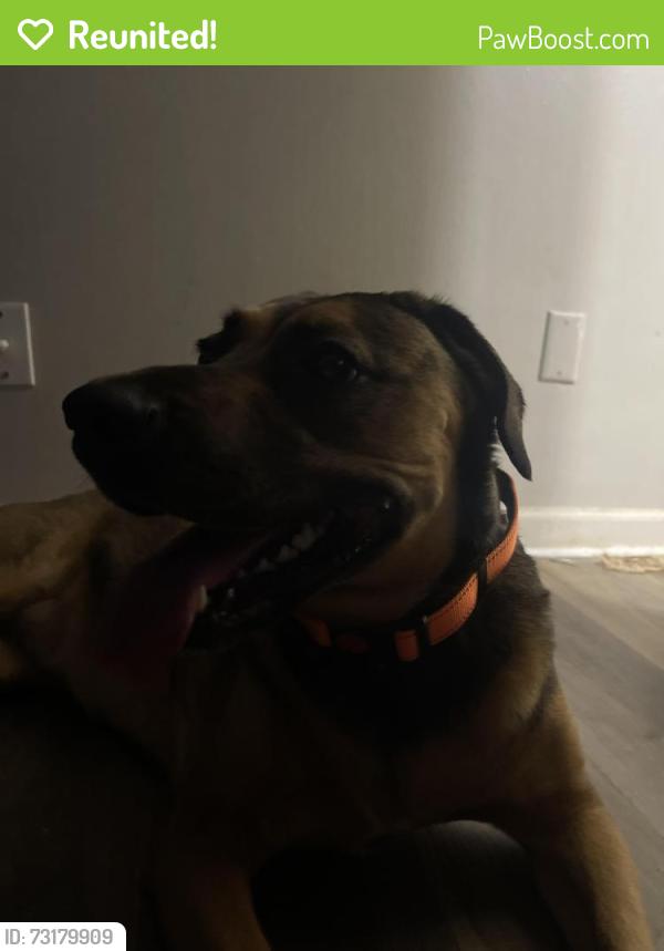 Reunited Female Dog last seen Paul avenue, Florissant, MO 63031