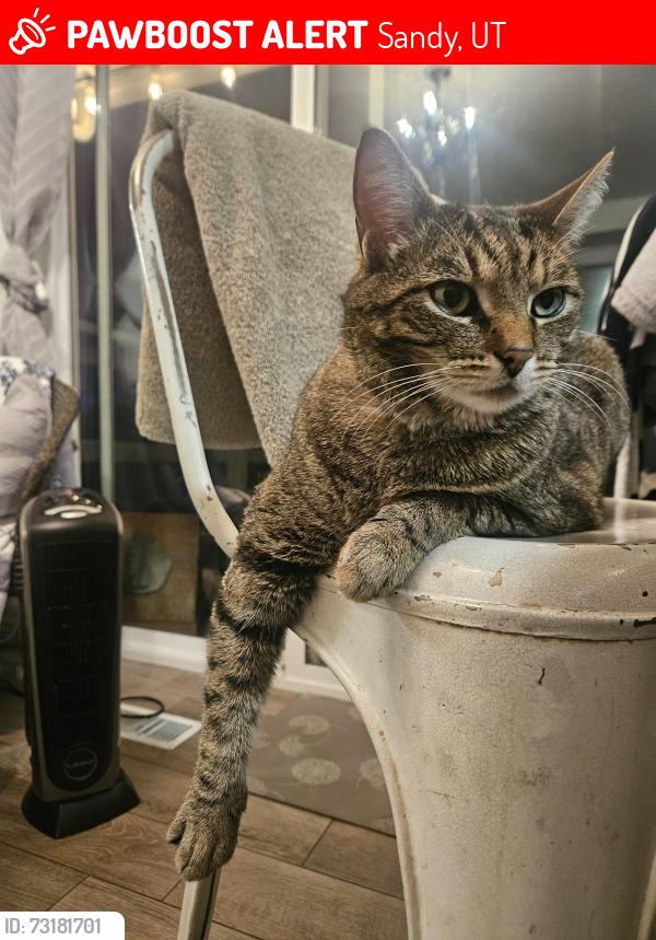Lost Male Cat last seen Near S State Street, Sandy, UT 84070