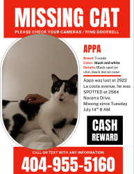 Lost Male Cat last seen Near La costa avenue, Carlsbad, CA 92009