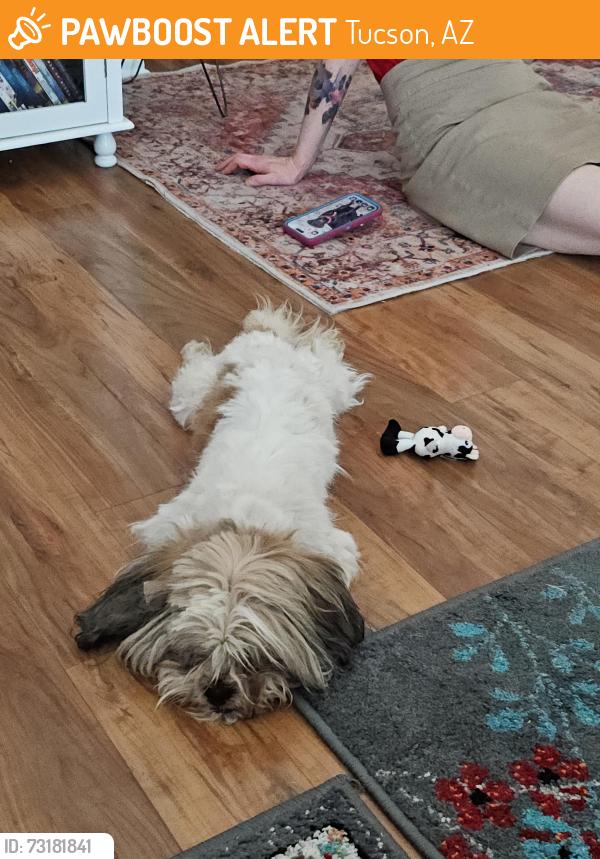 Found/Stray Male Dog last seen Kino and Silverlale, Tucson, AZ 85726