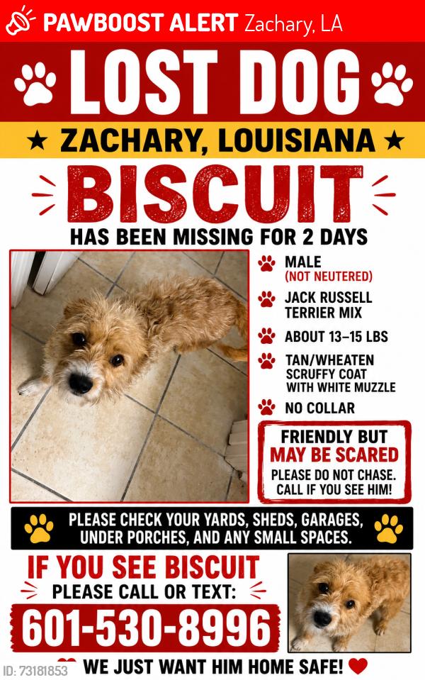 Lost Male Dog last seen Jackson Rd, Zachary, LA 70791