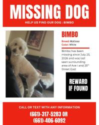 Lost Male Dog last seen Near east ave i lancaster, Lancaster, CA 93535
