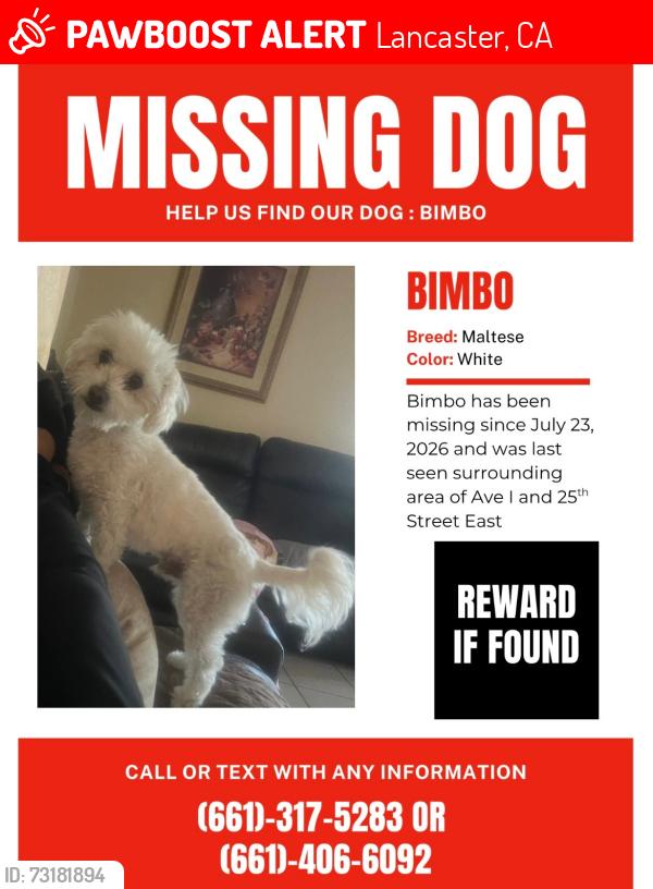 Lost Male Dog last seen Near east ave i lancaster, Lancaster, CA 93535