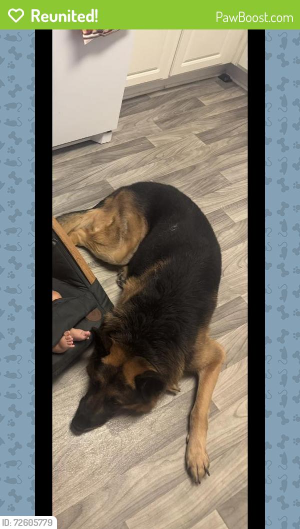 Reunited Male Dog last seen 979A Honeyle Trail, Winder, GA 30680, USA, Winder, GA 30680