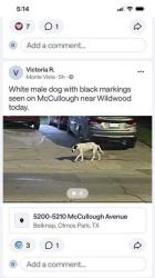 Reunited Male Dog last seen Frost Bank Center, San Antonio, TX 78202