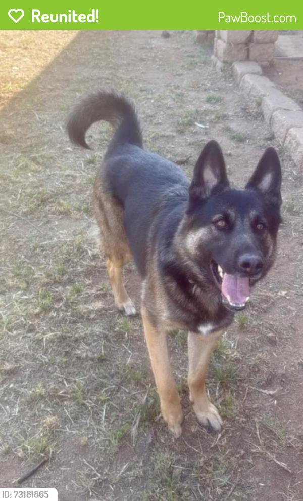 Reunited Male Dog last seen Uclied, National City, CA 91950