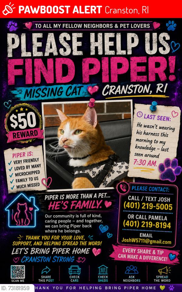 Lost Male Cat last seen Reservoir Ave near wendys on other side of road., Cranston, RI 02910