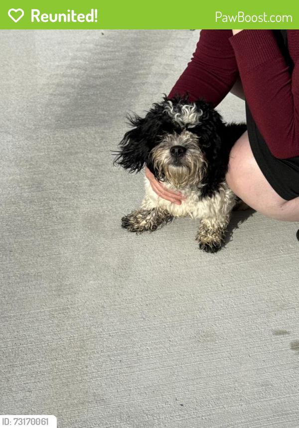 Reunited Female Dog last seen North hawthorn, Chattanooga, TN 37406