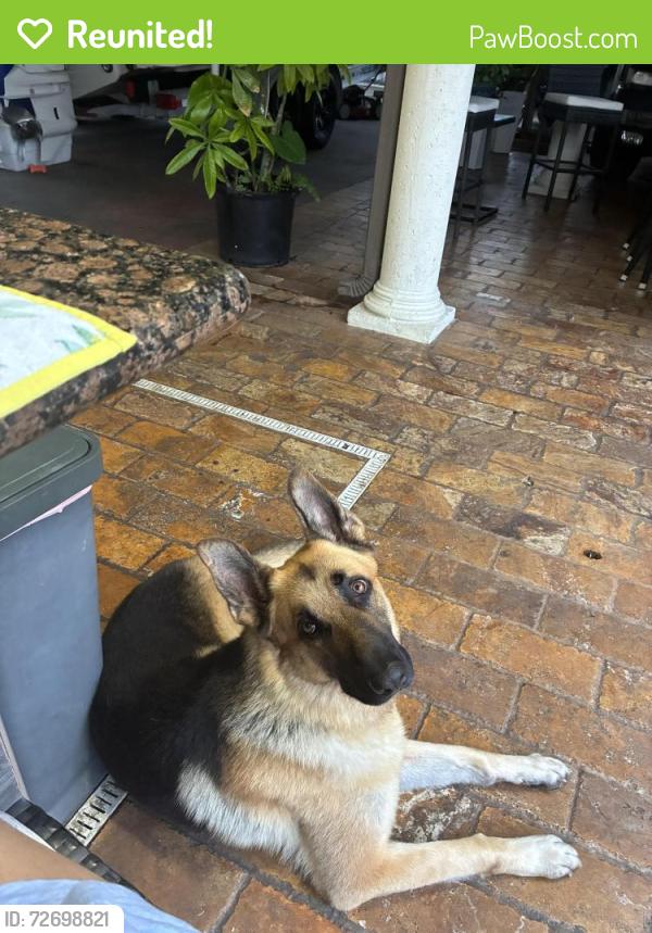 Reunited Male Dog last seen Robert Hunter park trail, Miami, FL 33177