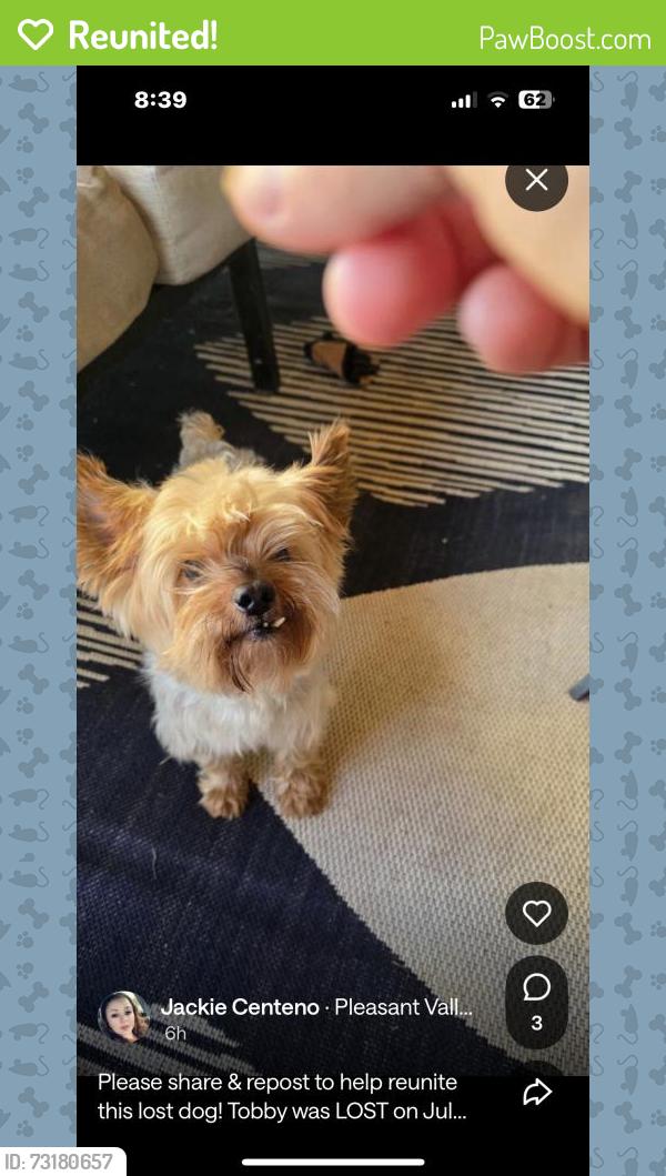 Reunited Male Dog last seen Tulare, CA 93274, USA, Tulare, CA 93274