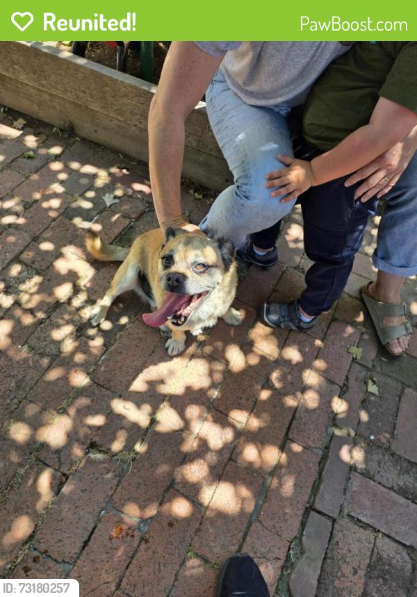 Reunited Male Dog last seen 38th st, Richmond, CA 94805