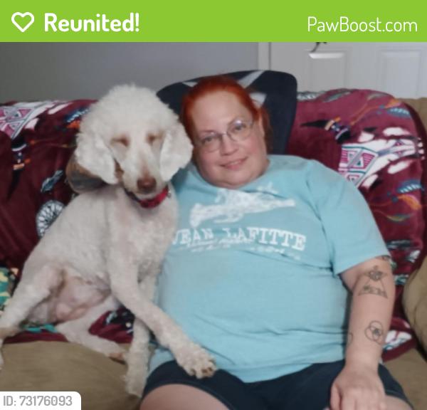 Reunited Female Dog last seen Timberview Lane, Arlington, TX 76014